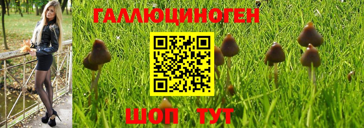 Махачкала  Псилоцибиновые грибы мухоморы  Вход с VPN 