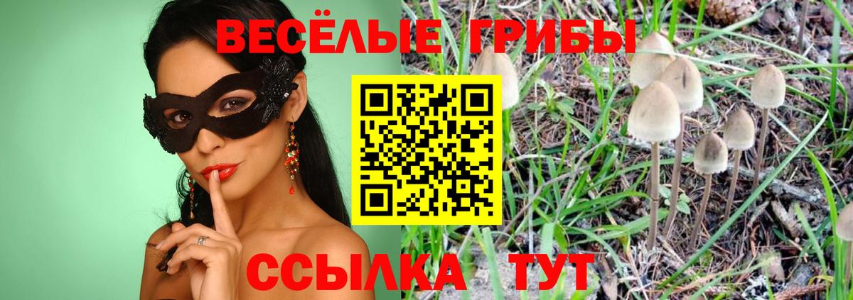 Галлюциногенные грибы мухоморы Махачкала